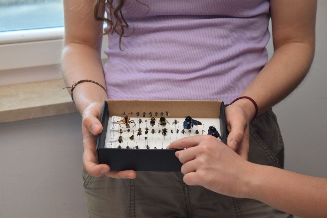 NP Krka prednjači u provođenju edukativnih programa za djecu i mlade