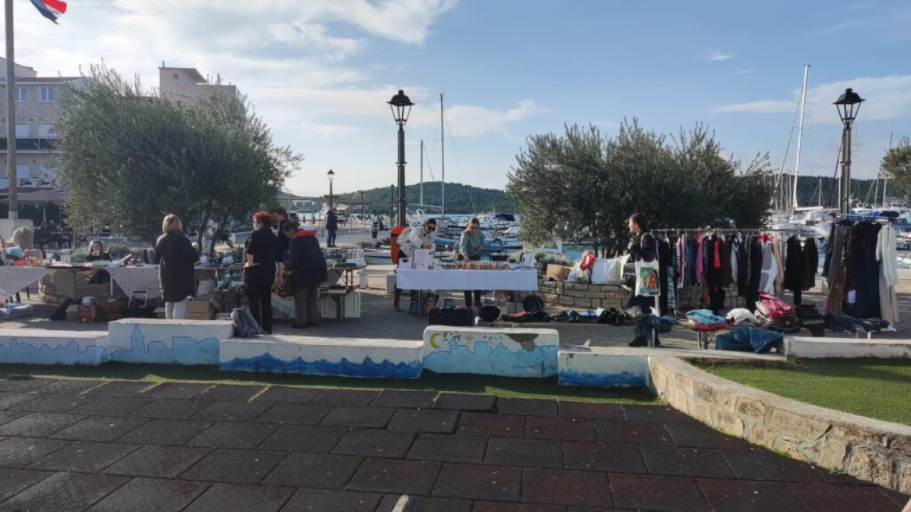 Održan humanitarni buvljak za pirovačke mačke: Sav prihod ide za njihovu kastraciju i sterilizaciju