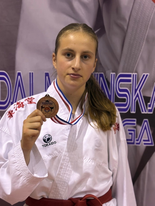 Dalmatinska karate liga