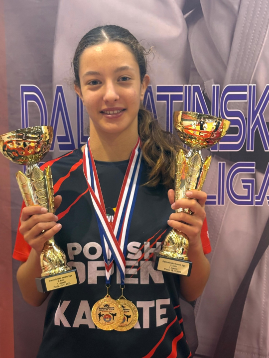 Dalmatinska karate liga