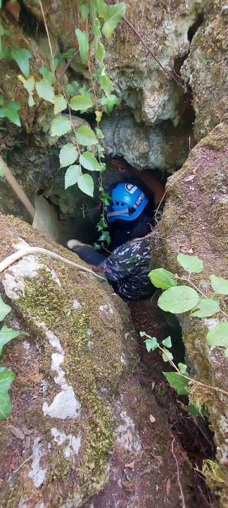 Nova špiljska vrsta kornjaša otkrivena u NP Krka. Ime je dobio upravo po parku 