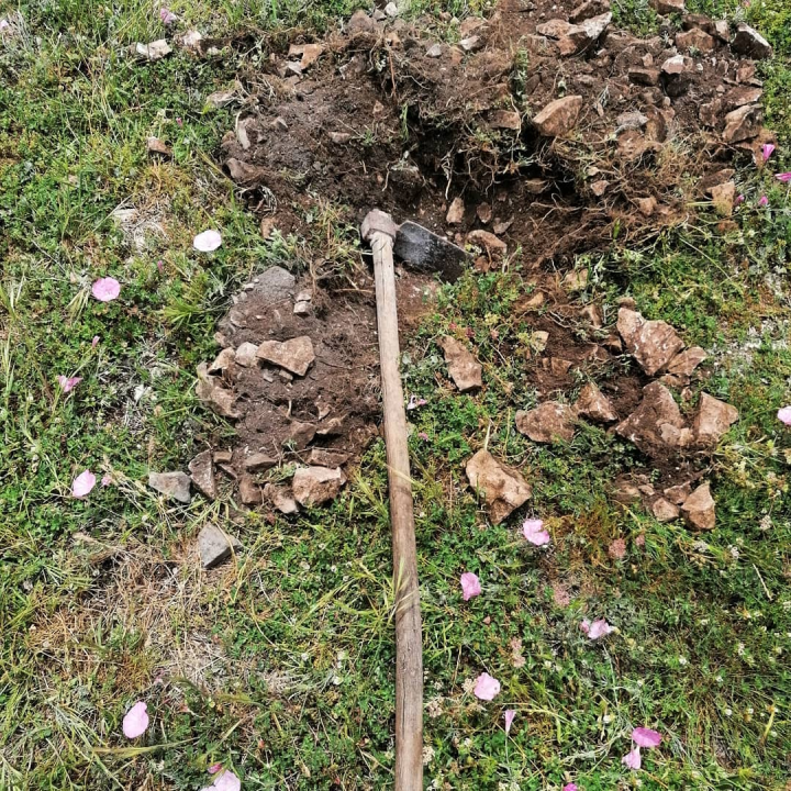 FOTO OPG Bili Brig — Maslinik u srcu Krke gdje tradicija, obitelj i priroda rađaju ulje posebnog karaktera