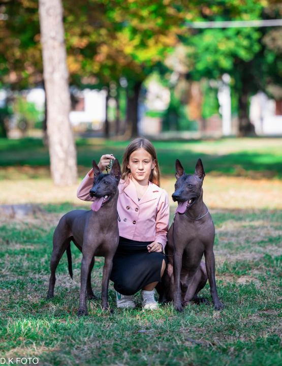 Anđela je najbolji mladi vodič pasa