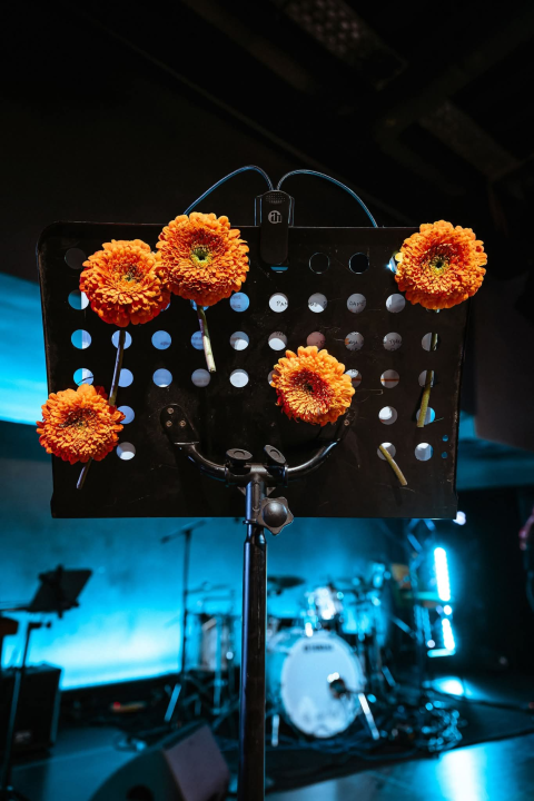 U čast Gabi i Arsena: Četiri vokalistice oduševile šibensku publiku