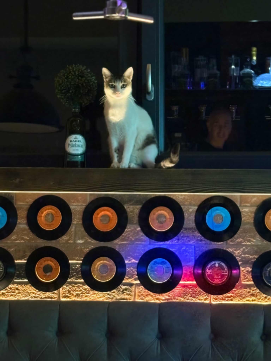 Pero je glavna zvijezda PUB-a 022