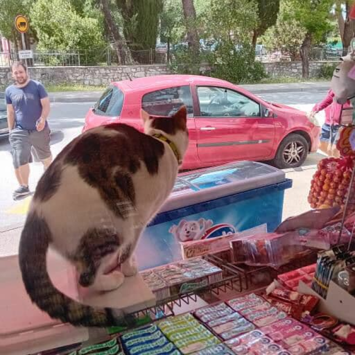 Pero je glavna zvijezda PUB-a 022