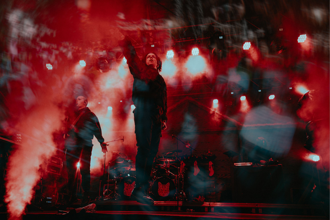 Baby Lasagna na Adventuri