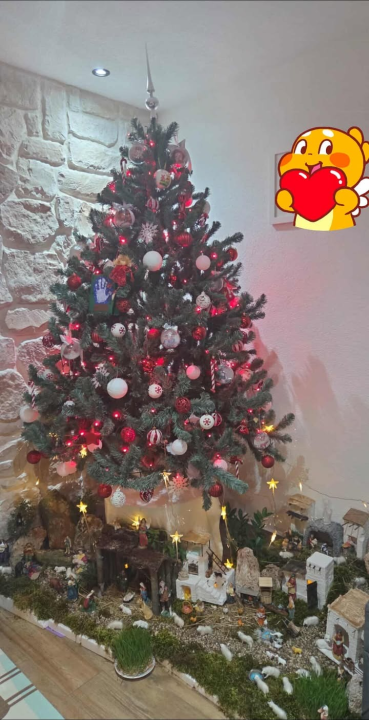 Odluka je pala: Donosimo vam pobjednike izbora najljepše božićne jelke ŠibenikIN-a