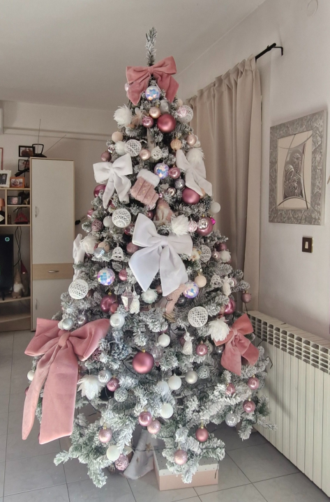 Odluka je pala: Donosimo vam pobjednike izbora najljepše božićne jelke ŠibenikIN-a