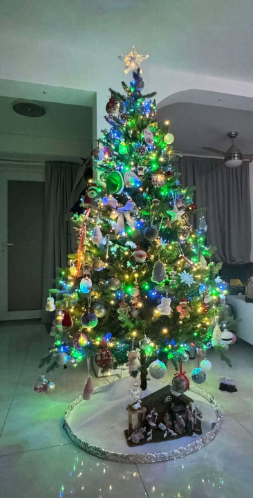 Odluka je pala: Donosimo vam pobjednike izbora najljepše božićne jelke ŠibenikIN-a