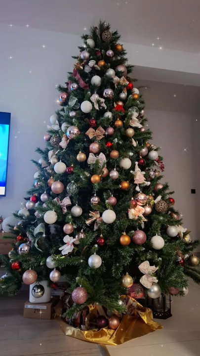 Odluka je pala: Donosimo vam pobjednike izbora najljepše božićne jelke ŠibenikIN-a