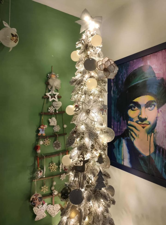 Odluka je pala: Donosimo vam pobjednike izbora najljepše božićne jelke ŠibenikIN-a