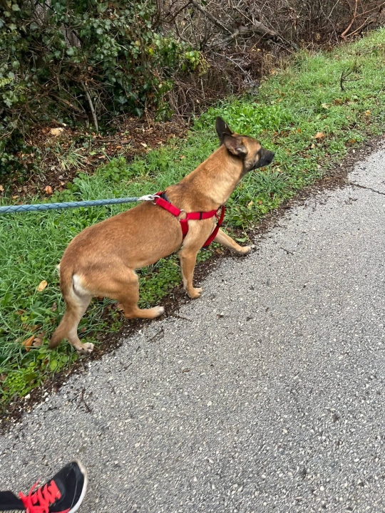 Pokrenut 'Lanac dobrote': Ovi sretnici su izašli iz šibenskog As Eka