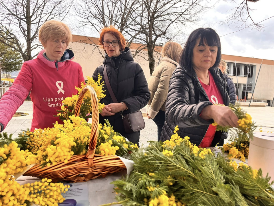 U Kninu obilježen Dan mimoza