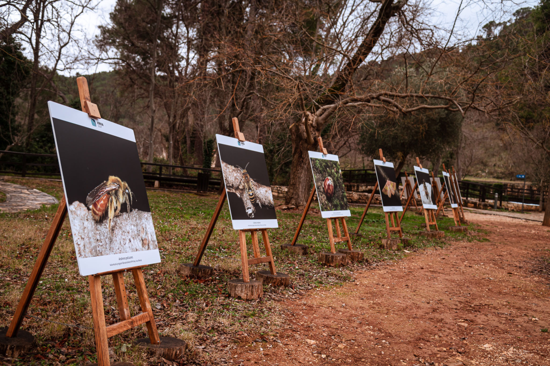 FOTO Priče koje zuje dalje: Završeno je šesto izdanje Green Eye Festivala