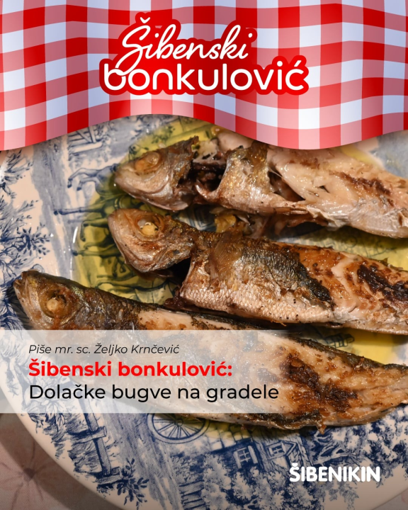 Šibenski bonkulović: Dolačke bugve na gradele