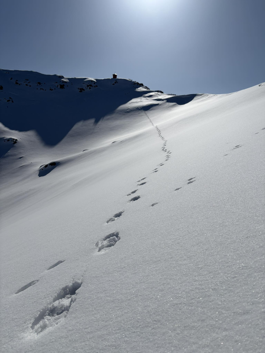 Pozdrav s najvišeg vrha Hrvatske na Dinari: 'Snijeg, sunce i pogled koji se pamti cijeli život'