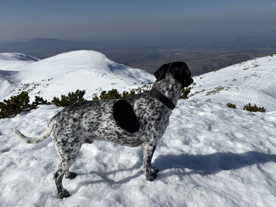 Pozdrav s najvišeg vrha Hrvatske na Dinari: 'Snijeg, sunce i pogled koji se pamti cijeli život'