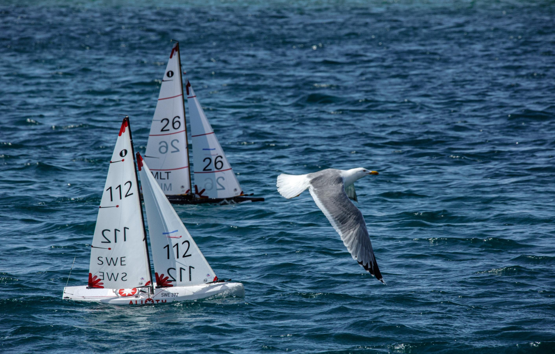 Rogoznica domaćin svjetske jedriličarske elite: 77 sudionika iz 16 država na 20. Rogozničkom kupu