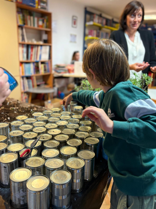 Pripremljeno 70 sadnica lavandule i ruellije za eko-akciju u Zatonu i Raslini