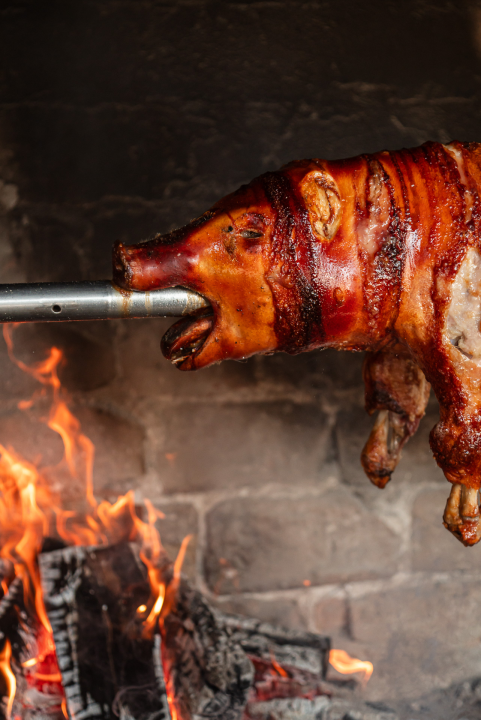 FOTO Savršena lokacija za feštu: Proslavite svoje najvažnije događaje u restoranu Penkala-Trstenik!