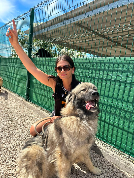 FOTO Šibenski sportaši promovirali udomljavanje u azilu As-Eko: 'Promijenite nečiji život, dobijete bezuvjetnu ljubav'