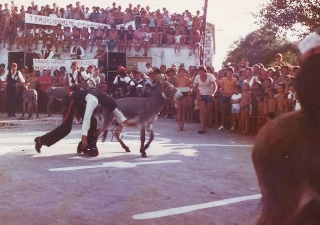 FOTO Uoči Magarećih trka u Tribunju stare fotografije probudile nostalgiju