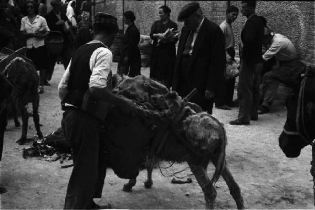 Otkriveno fotografsko blago: Pogledajte fascinante prizore života Šibenčana burne 1941. godine