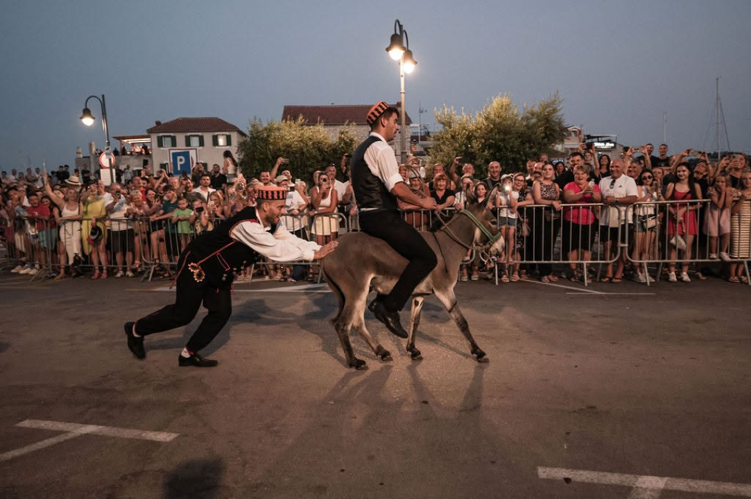 59. Tribunjske magareće trke