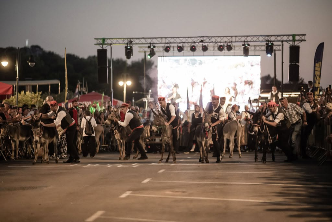 59. Tribunjske magareće trke