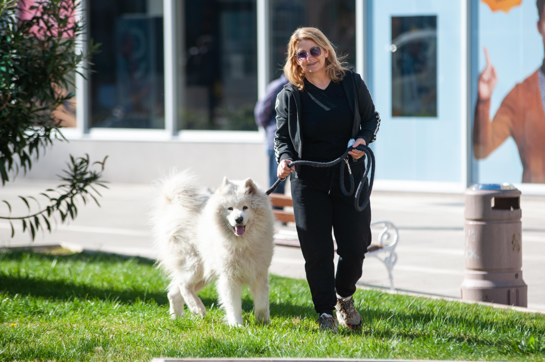 FOTO Đir po gradu, srijeda 31. ožujka