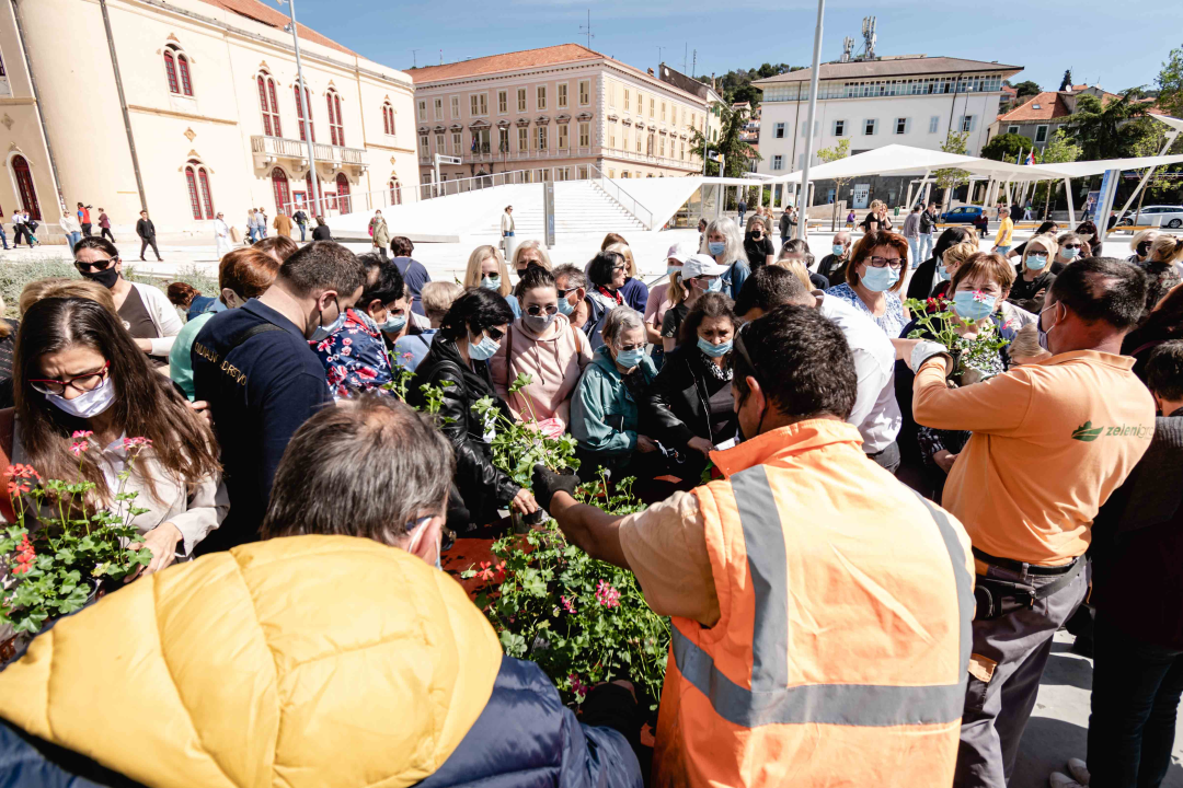 Umirovljenički stampedo za sadnice đirana na Poljani: ‘Gužva je veća za cvijeće nego za cijepljenje’