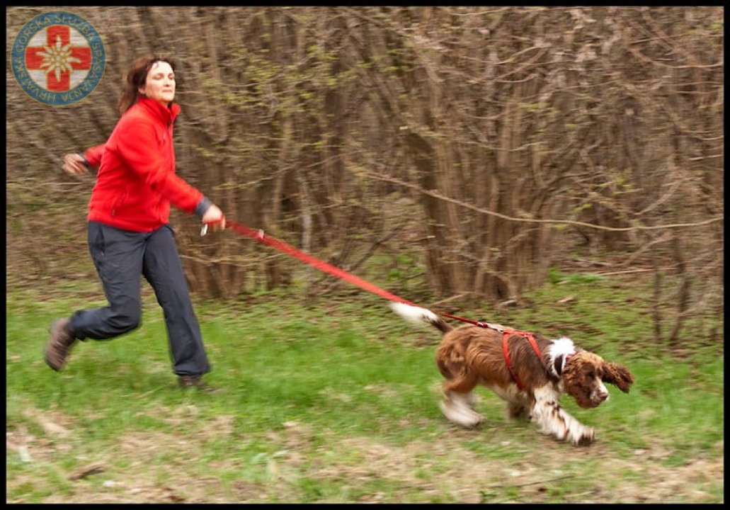 Uginula je Aki, potražni pas GSS-a: U svojoj je karijeri pronašla četvero ljudi, a uz Vodičanku Blanku Lučić bila je 13 godina