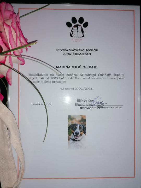 Šibenski gimnazijalci iz 4.f umjesto poklona razrednici donirali tisuću kuna Šibenskim šapama!