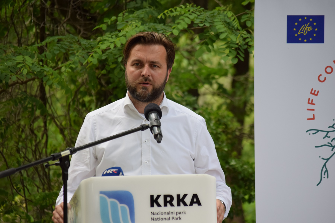 Na Krki traje borba protiv pajasena, strane vrste koja 'guta sve pred sobom': Plan ga je ukloniti iz parka 