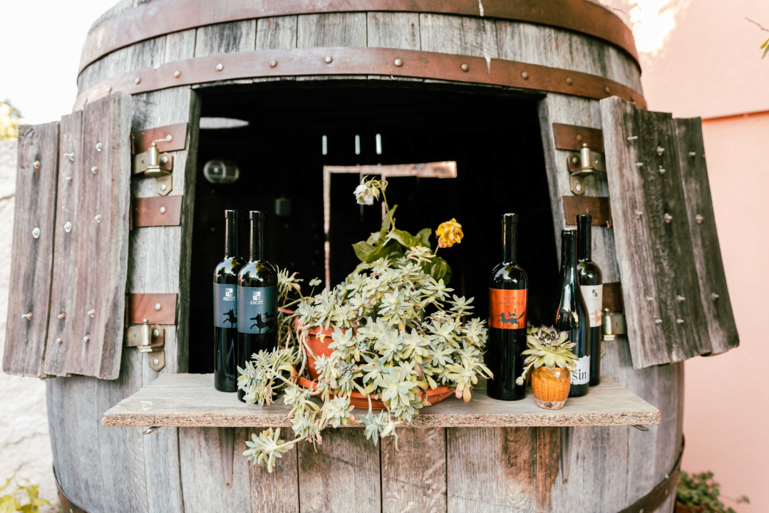 Taste Like Dalmatia: Još danas imate priliku kušati vrhunska vina, maslinova ulja i craft pive, a u subotu na šibenskoj rivi čekaju vas pidoče i debit!