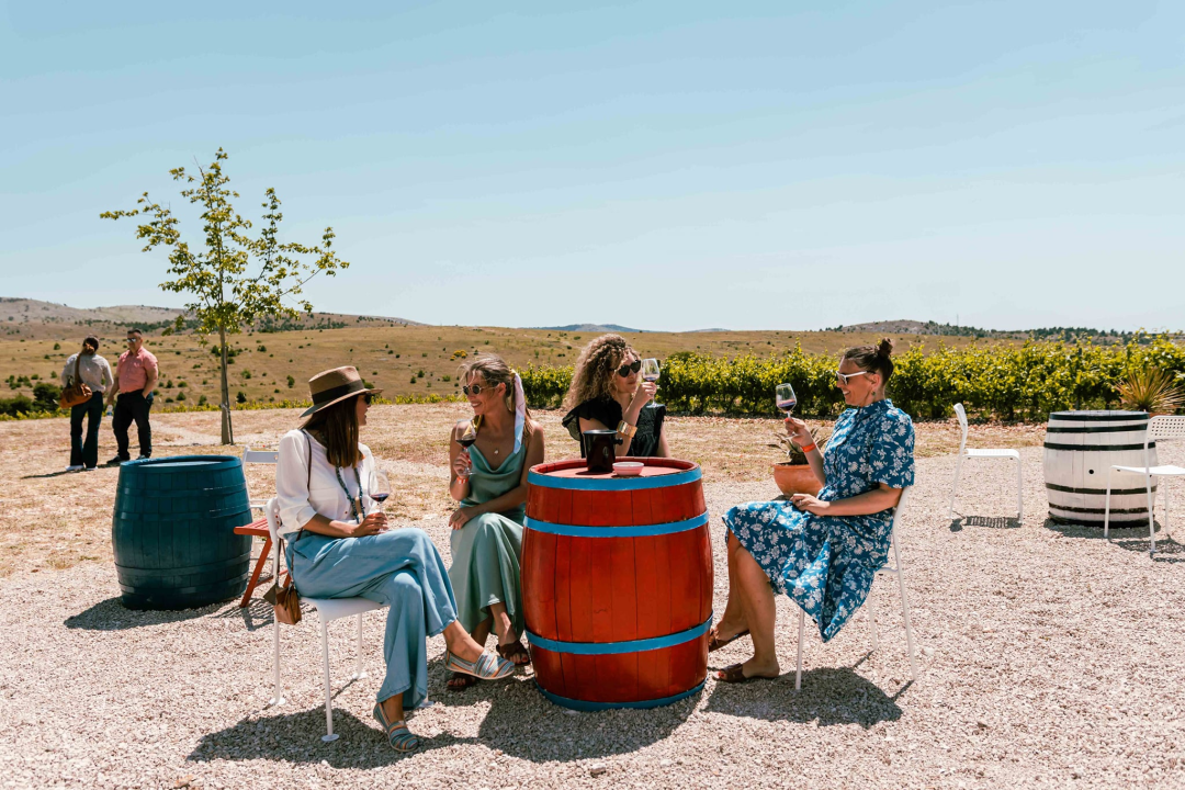 Taste Like Dalmatia: Još danas imate priliku kušati vrhunska vina, maslinova ulja i craft pive, a u subotu na šibenskoj rivi čekaju vas pidoče i debit!