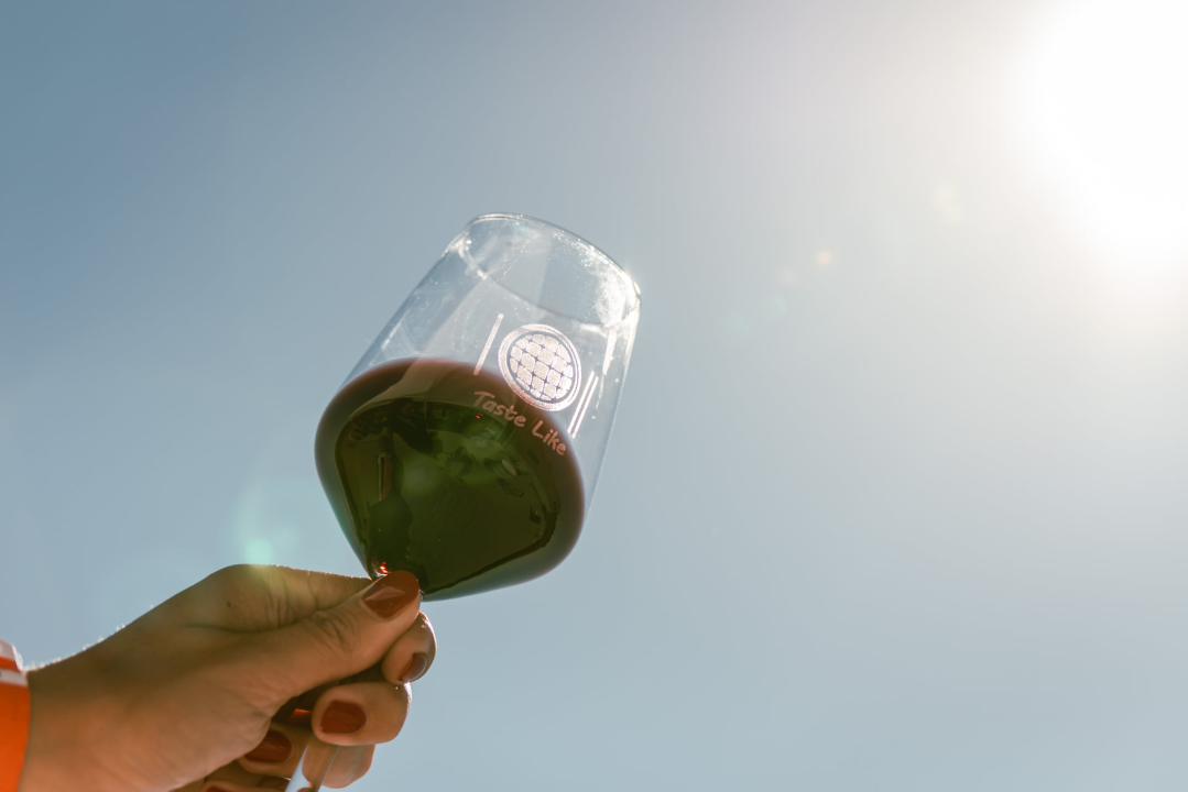 Taste Like Dalmatia: Još danas imate priliku kušati vrhunska vina, maslinova ulja i craft pive, a u subotu na šibenskoj rivi čekaju vas pidoče i debit!