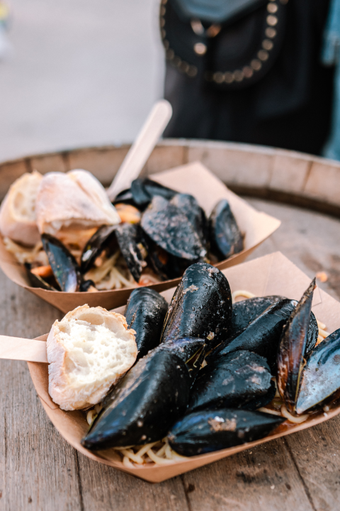 ‘Ako su sinonim Burgundije Chablis i kamenice, zašto sinonim Šibenika ne mogu postati Debit i pidoće’