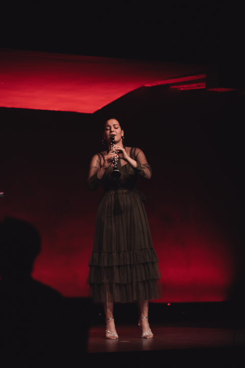 Arsen i Lukačić se vole, dokazali su to nagrađivani učenici i maturanti šibenske glazbene škole odličnim koncertima