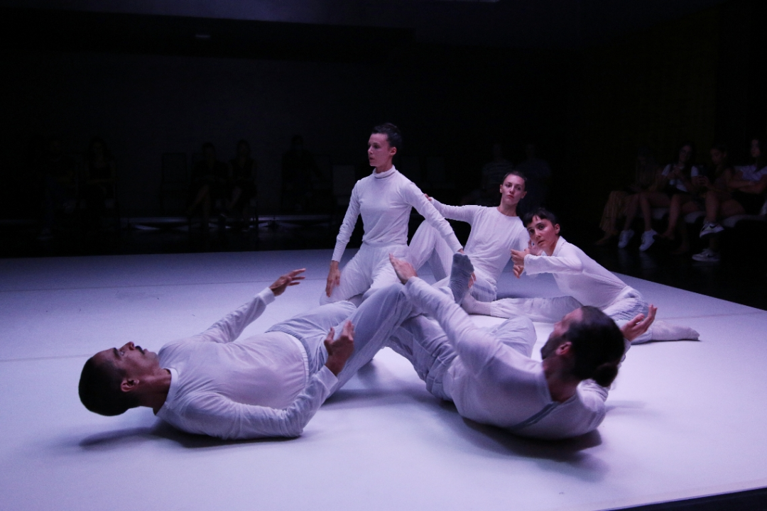 Deseti Šibenik Dance Festival zatvoren plesom u bjelini 