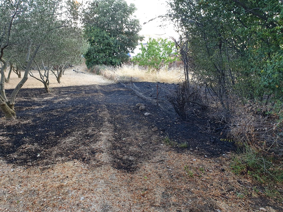 Ugašen je požar koji je buknuo kod Rasadnika na Vidicima: Na intervenciju izašle tri vatrogasne ekipe 