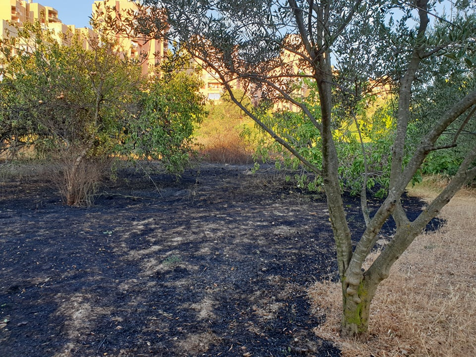 Ugašen je požar koji je buknuo kod Rasadnika na Vidicima: Na intervenciju izašle tri vatrogasne ekipe 