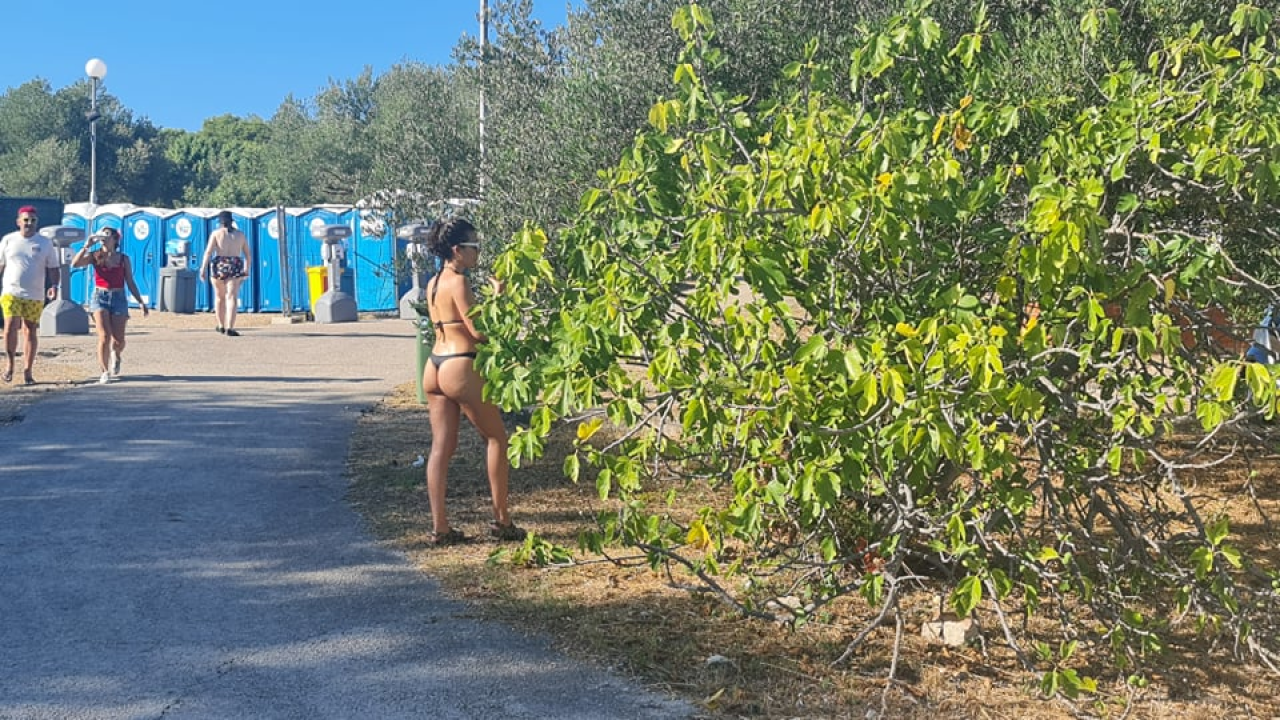 Englezi nahrupili na ples u Tisno: U Gardenu puno toga izgleda kao prava, normalna sezona