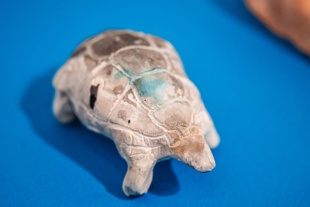 ‘Žabe’ okupirale sv. Krševan: Na zidu su psihodelične, na podu ih je stotine od terakote