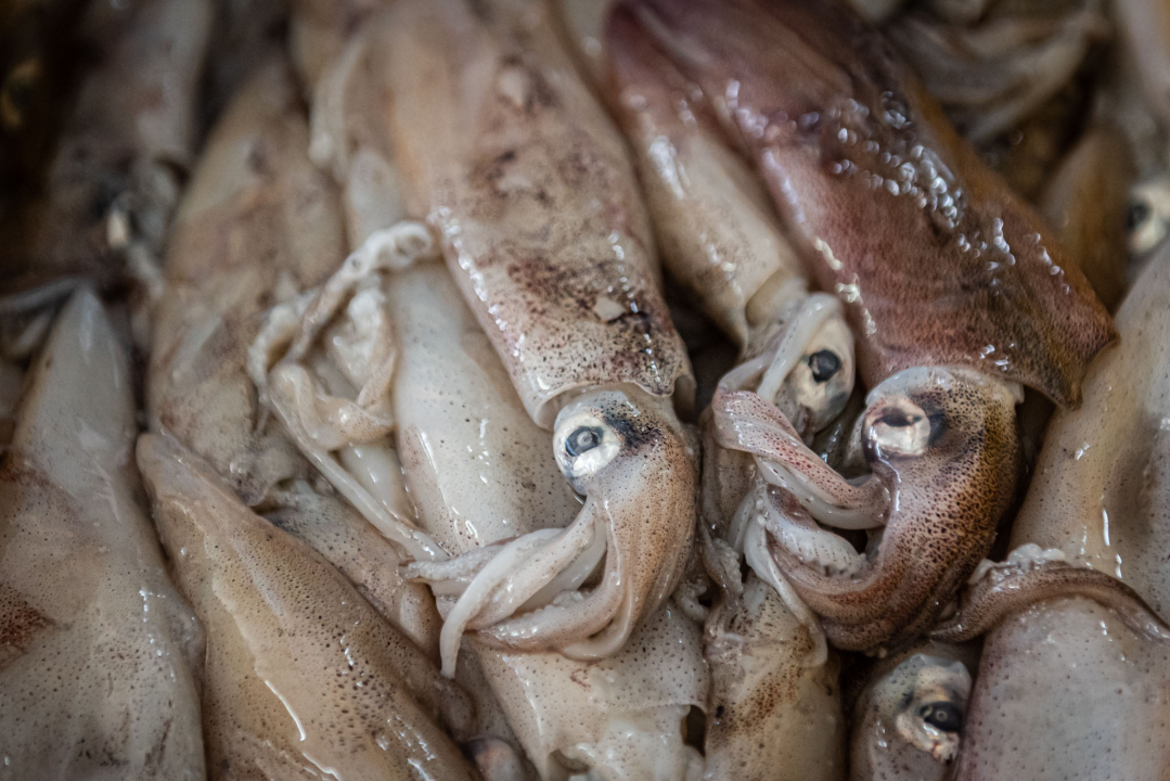 Na pijaci smo pronašli prve žižule, a na peškariji solidnu ponudu ribe: 'Što turisti znaju što je divlji, a što uzgojen brancin' 