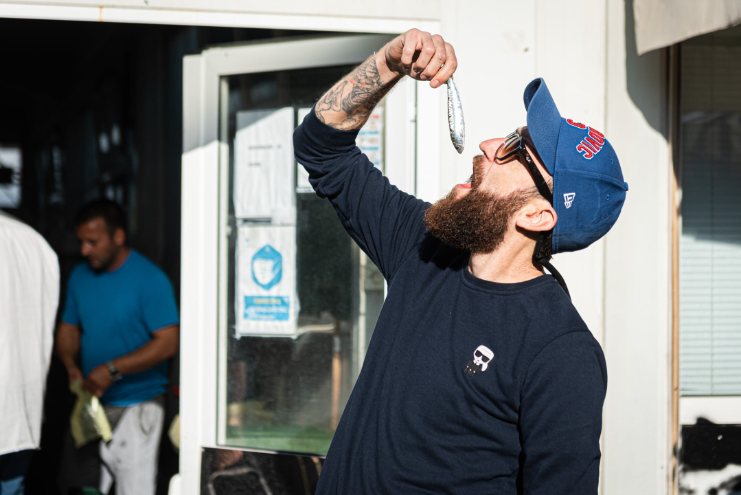 Od ogromnih kokota i mola sa šibenske peškarije dalo bi se skuhati juhu za omanji bataljun  