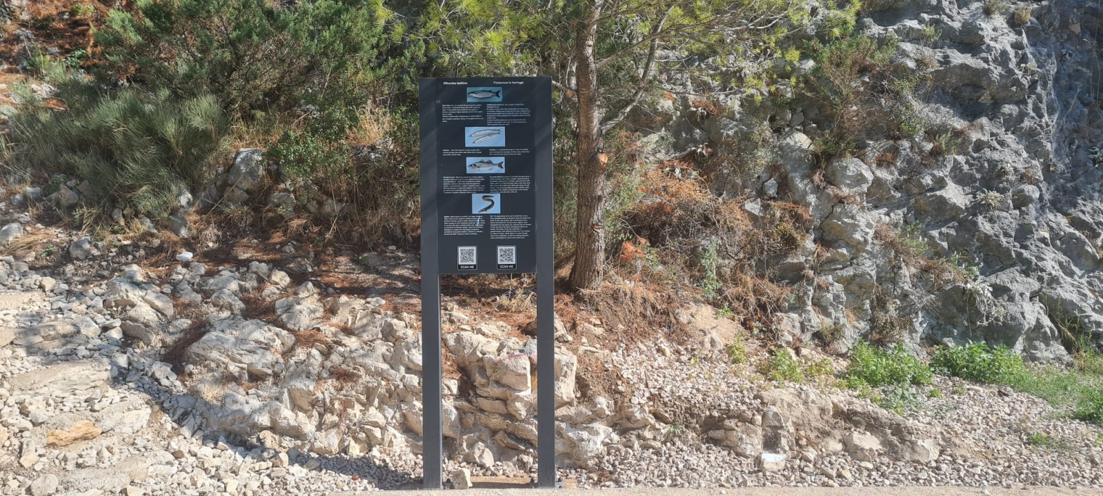 Skradin dobio čak pola milijuna kuna za promociju svoje ribarske baštine!