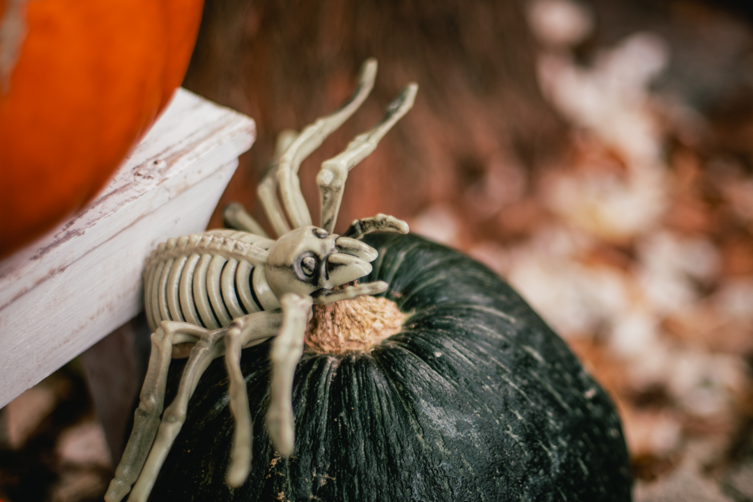 U Šibeniku Halloween i Holywin podjednako popularni: Jedno je cjelonoćna molitva, drugo maskirani ples