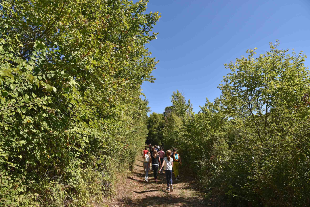 Kroz program radionica djeca iz Knina upoznala rad začetnika nacionalne arheologije